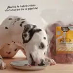 Wild Balance Menú de Pollo