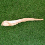 Rabo de Búfalo 30 cm