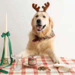 Bocaditos Navideños Wild Balance