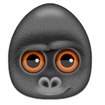 Debookee 8.2.0