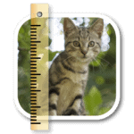 SizeMyPics 1.8.1