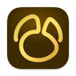 Navicat Premium 17.3.4