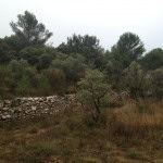 chantier Ponteves