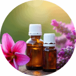 Hormonbalance und geistige Klarheit