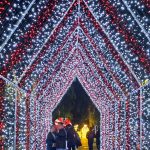 408131791_752524096921841_6033790906367494001_n