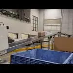 Automated Package Sorting