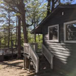 A cozy cabin with wooden stairs surrounded by tall trees in Eureka Springs, Arkansas.