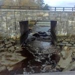 Mill Pond Dam Study