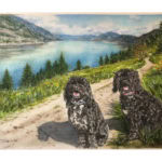 walking trail and dog portrait