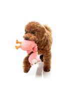 FuzzYard Neckole The Flamingo