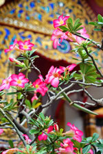 Wat Lam Chang