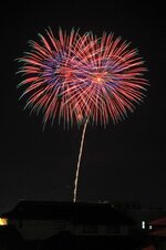 Light up Nippon