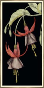 Graphic Fuchsia V - Canvas Gallery Champagne