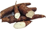 manioc