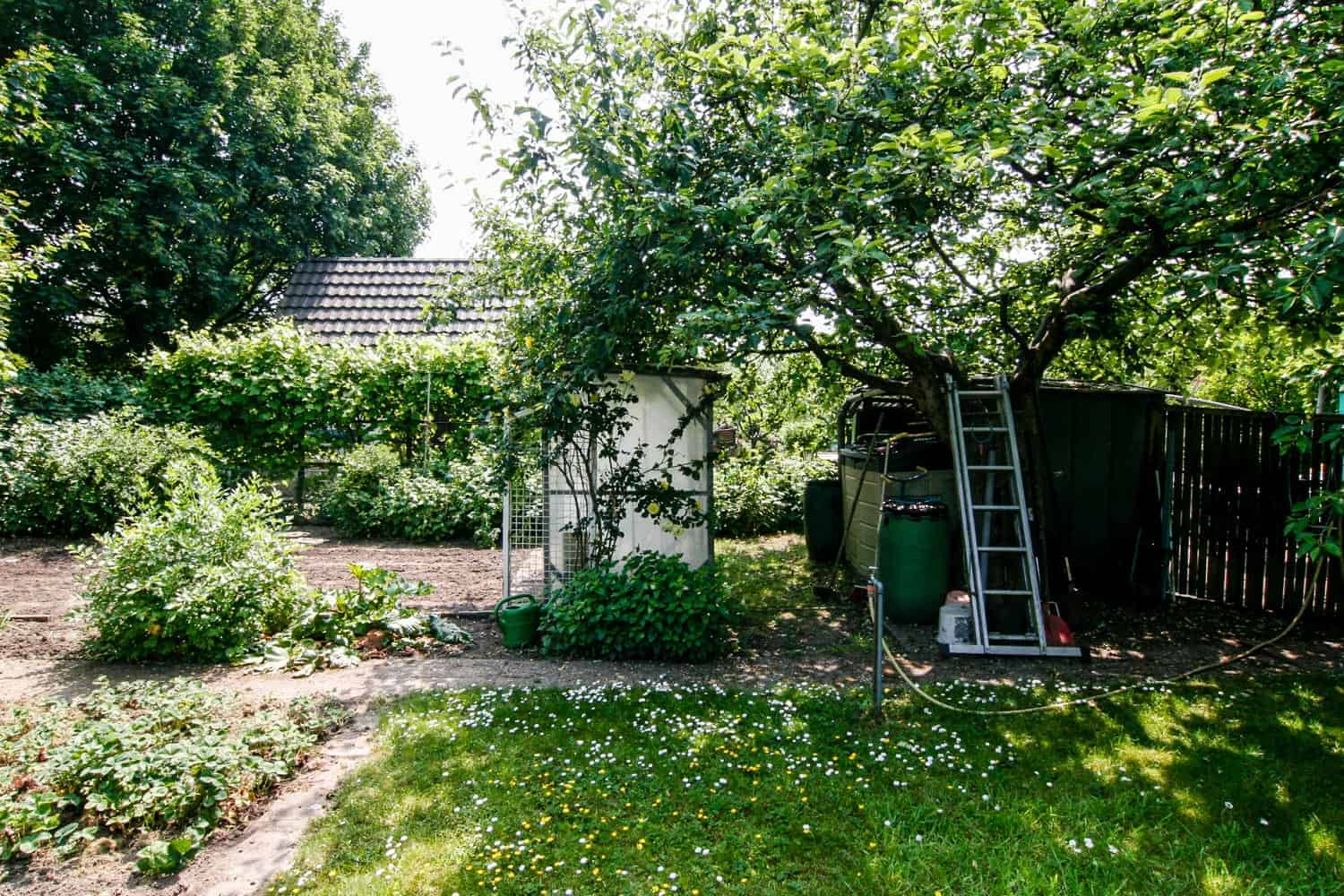 Unser Garten, vorher-nachher, der Gemüsegarten