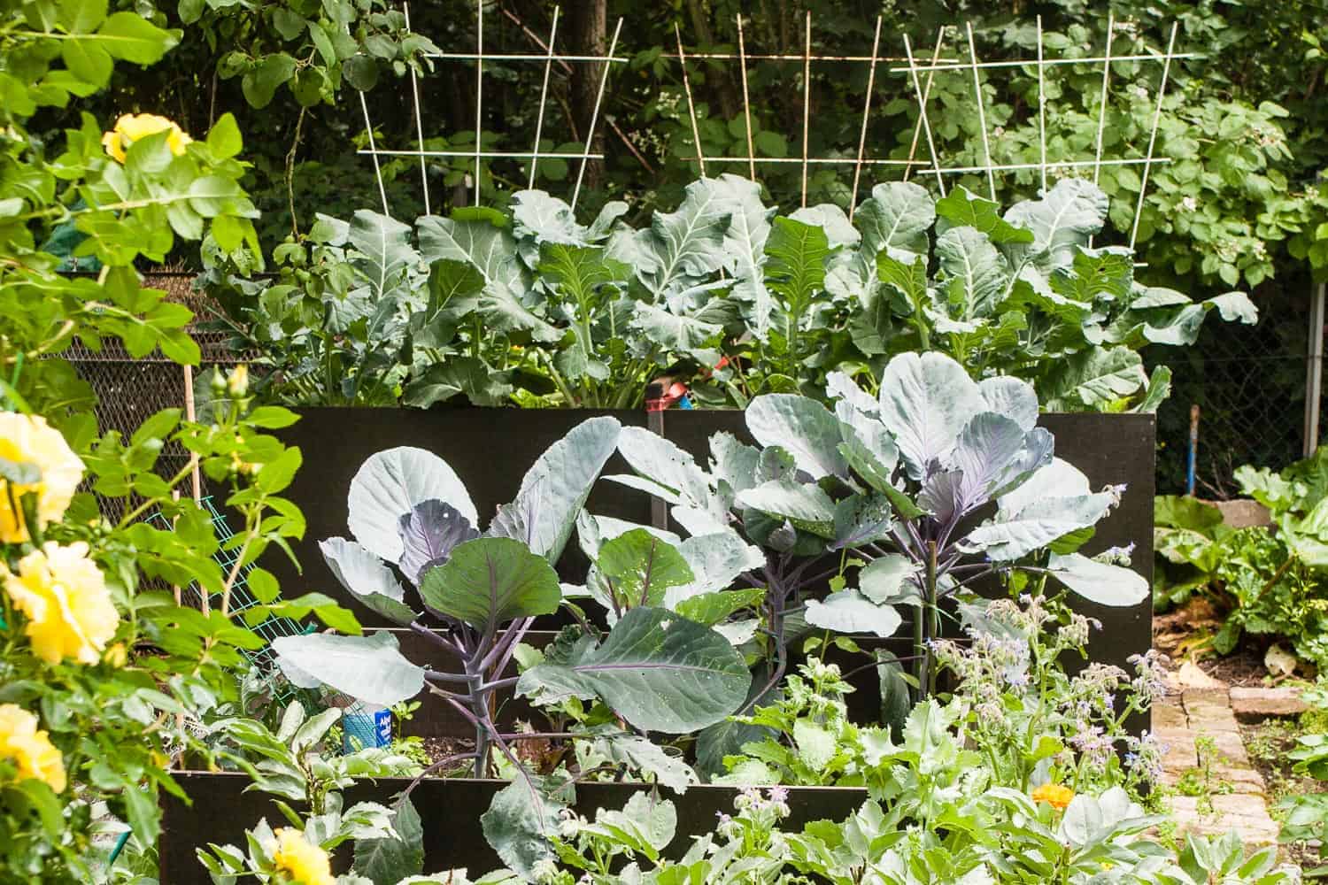 Wie bekommt mein Garten Struktur? Wie lege ich verschiedene Gartenräume an? Welche Gestaltungselemente eignen sich, um dem Garten Struktur zu verleihen?