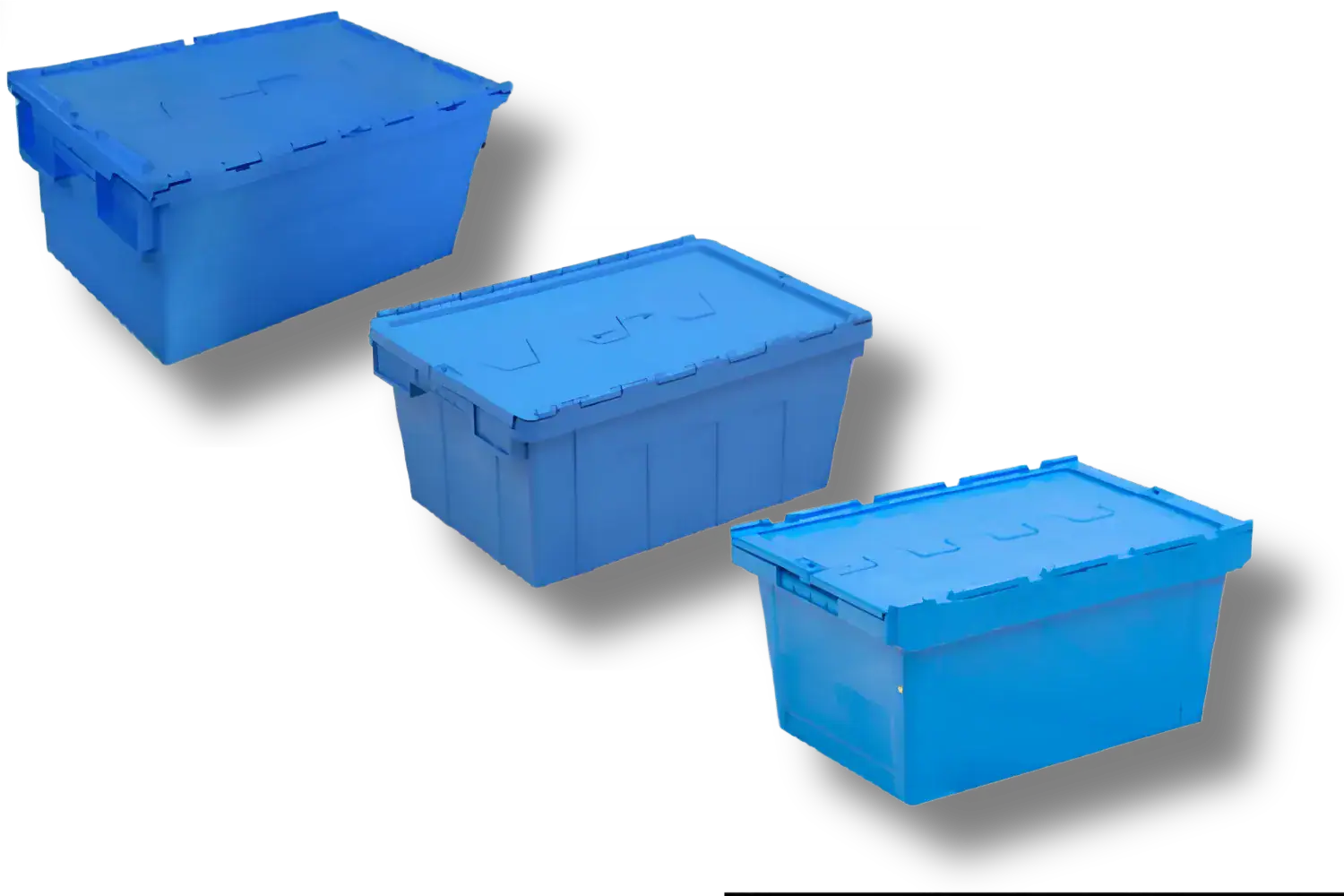 ALC 01