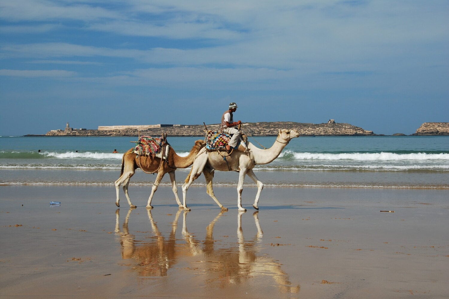 Dromadaires sur la plage Sénégal