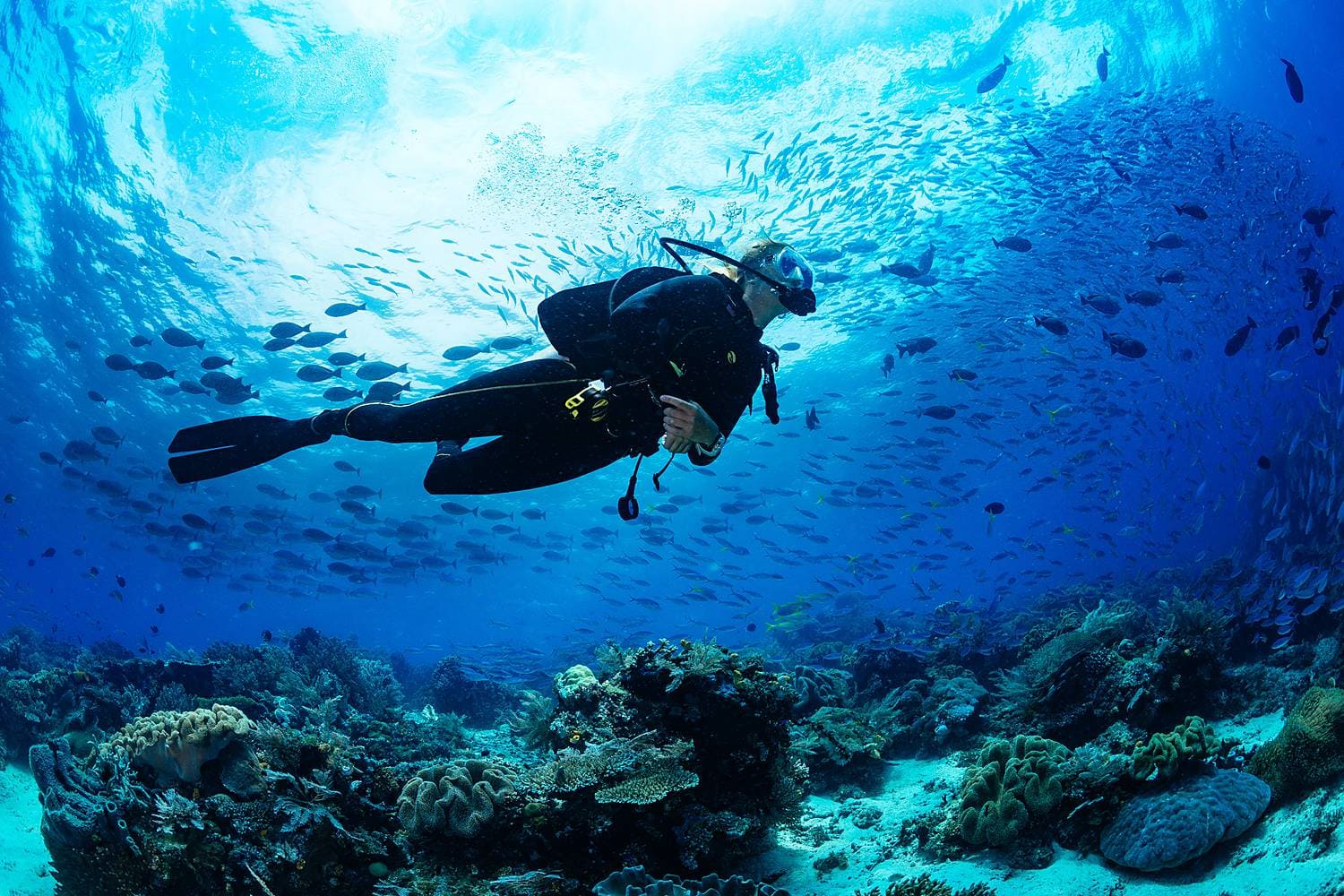 Plongée exploration — Dakar, Sénégal