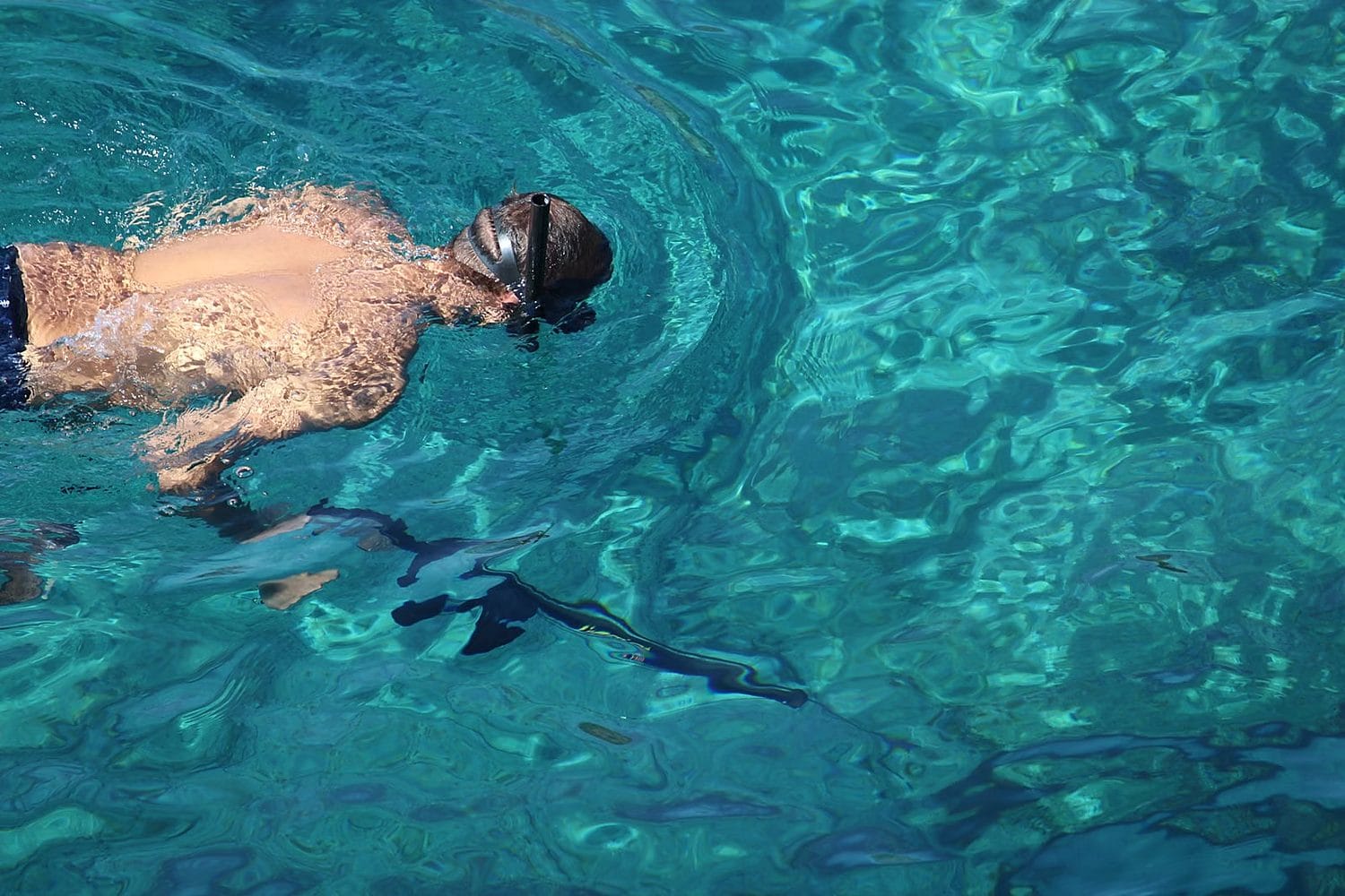 Snorkeling nageur en mer vue de dessus Sénégal