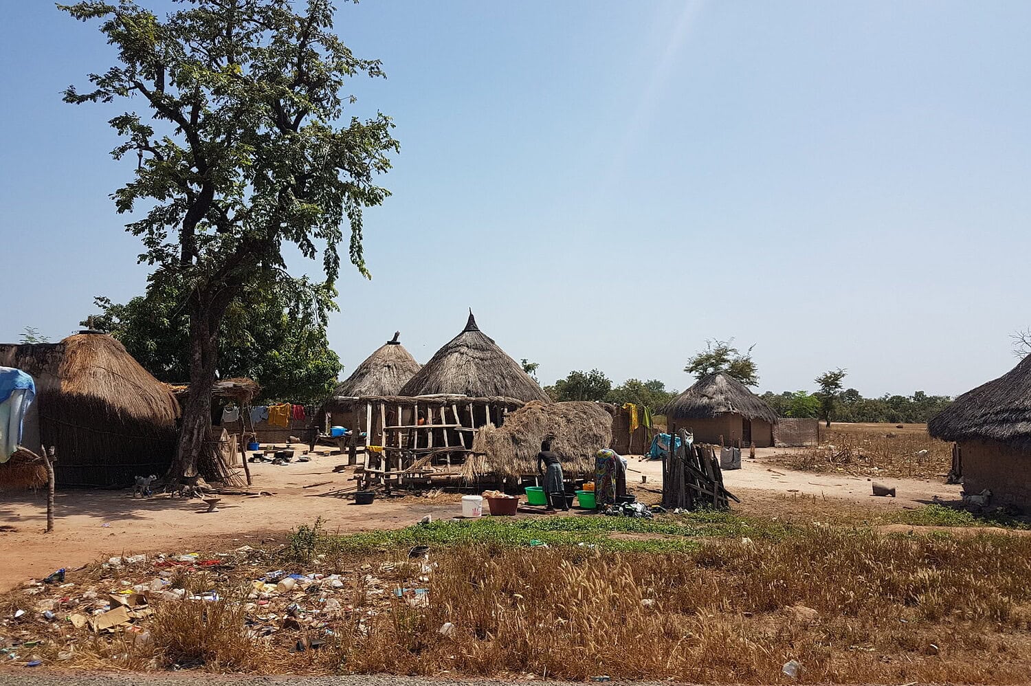 Village traditionnel cases baobab Sénégal