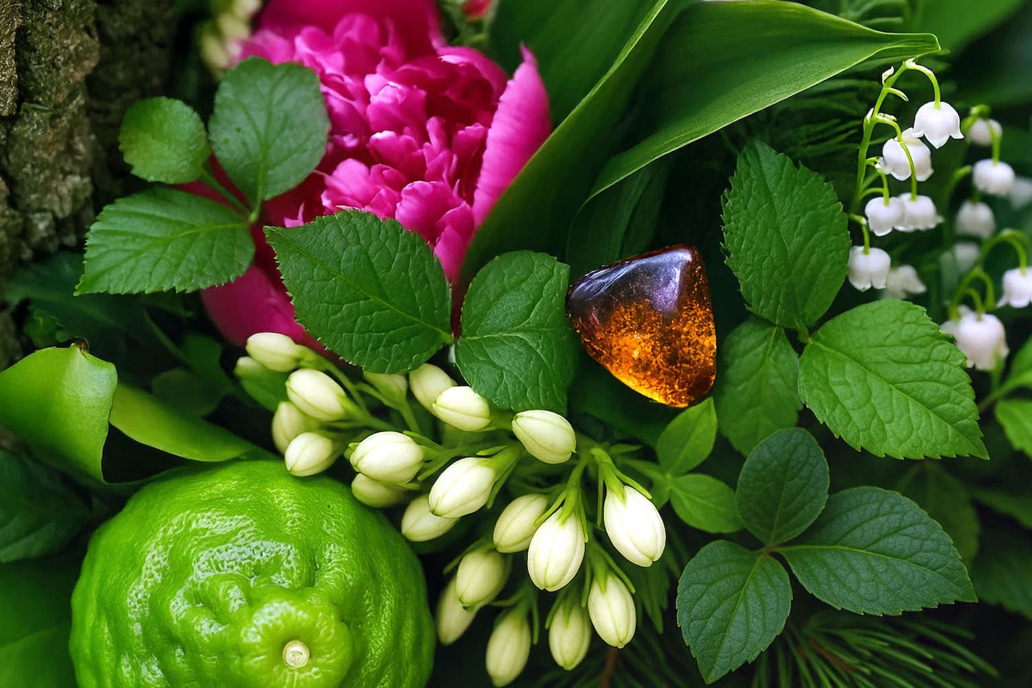 jasmine and greenery olfactory symphony