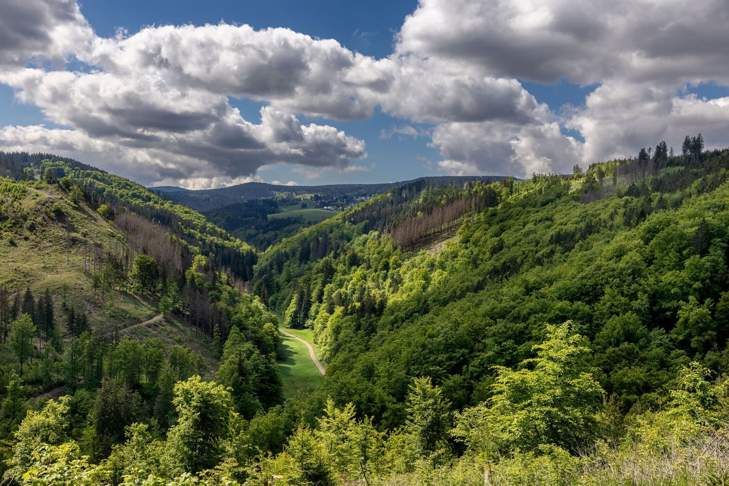 das grüne Herz Deutschlands, der Thüringer Wald. Hier der Blick ins Tal der zahmen Gera Richtung Gehlberg an einem sonnigen Tag mit einigen Wolken fotografiert mit der Canon EOS R5m2 & dem Ef 35mm f1.4 bei Blende 11