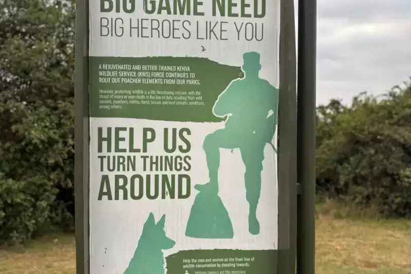 Promoting sustainable tourism in Kenya through wildlife conservation and anti-poaching awareness