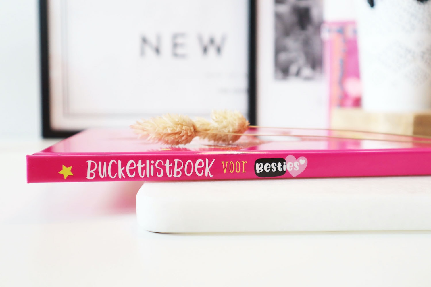 Bucketlist boek voor Besties