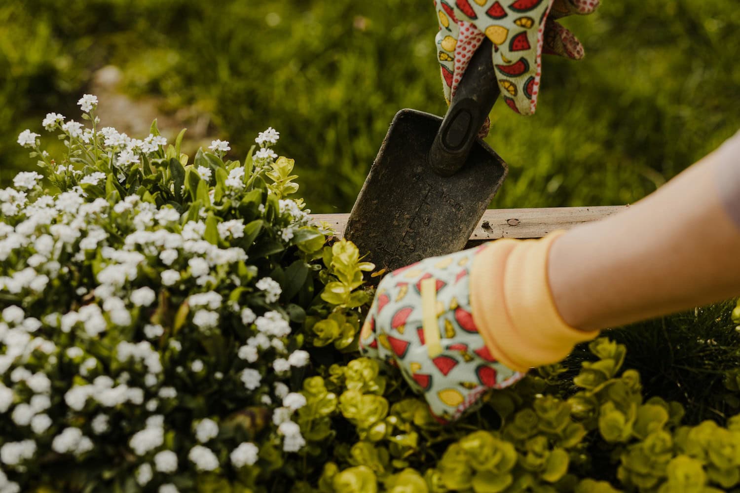tuinonderhoud