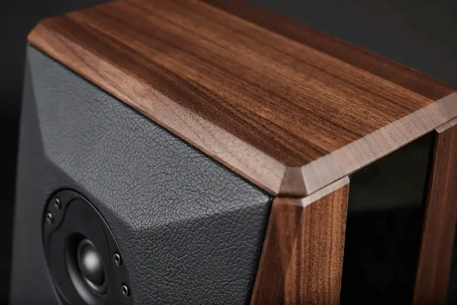 The Ear sur les enceintes Peak Consult Sonora 04