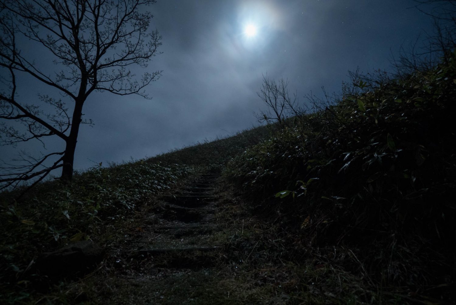 夜の深入山