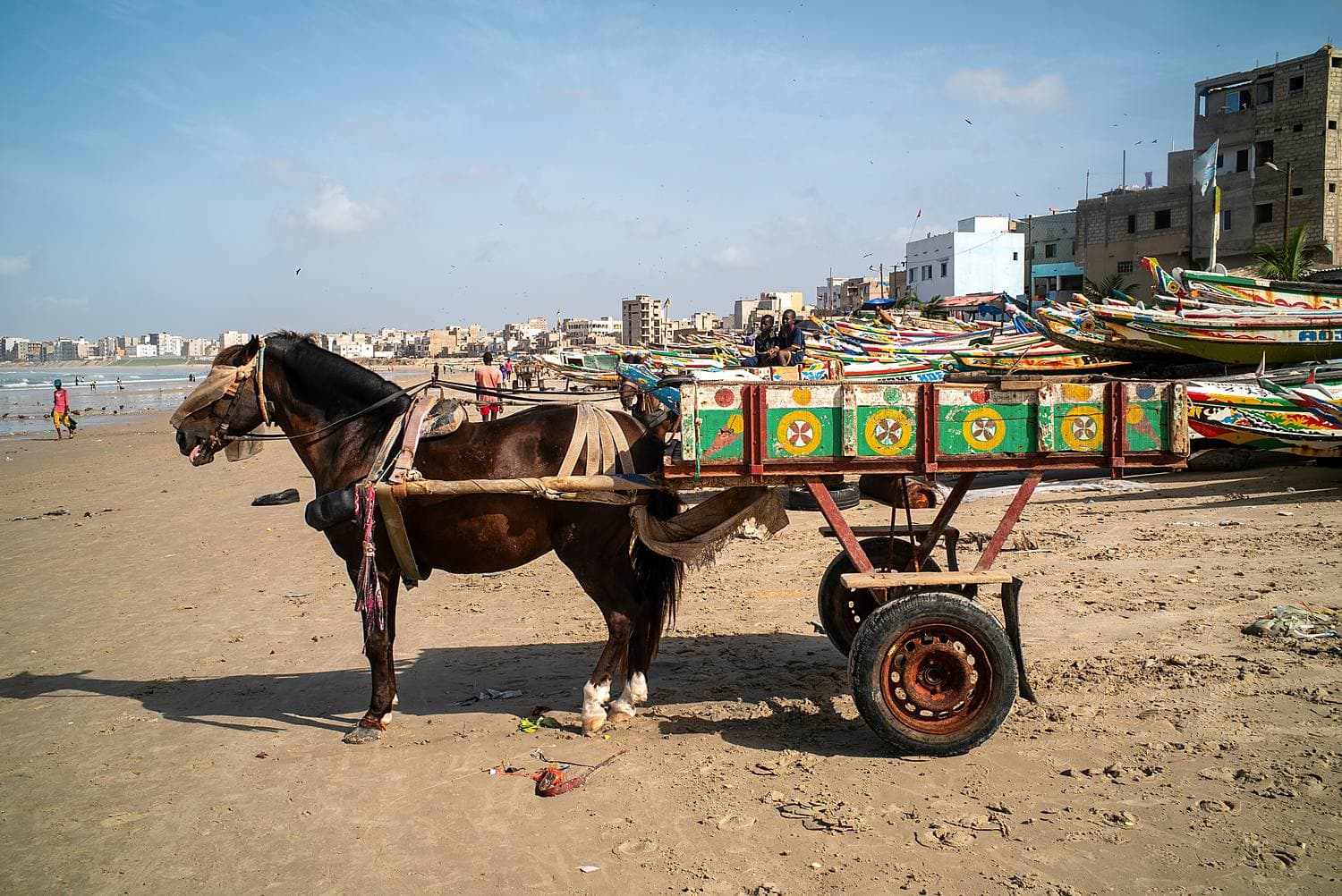 Balade en calèche à Saly / Mbour — Sénégal