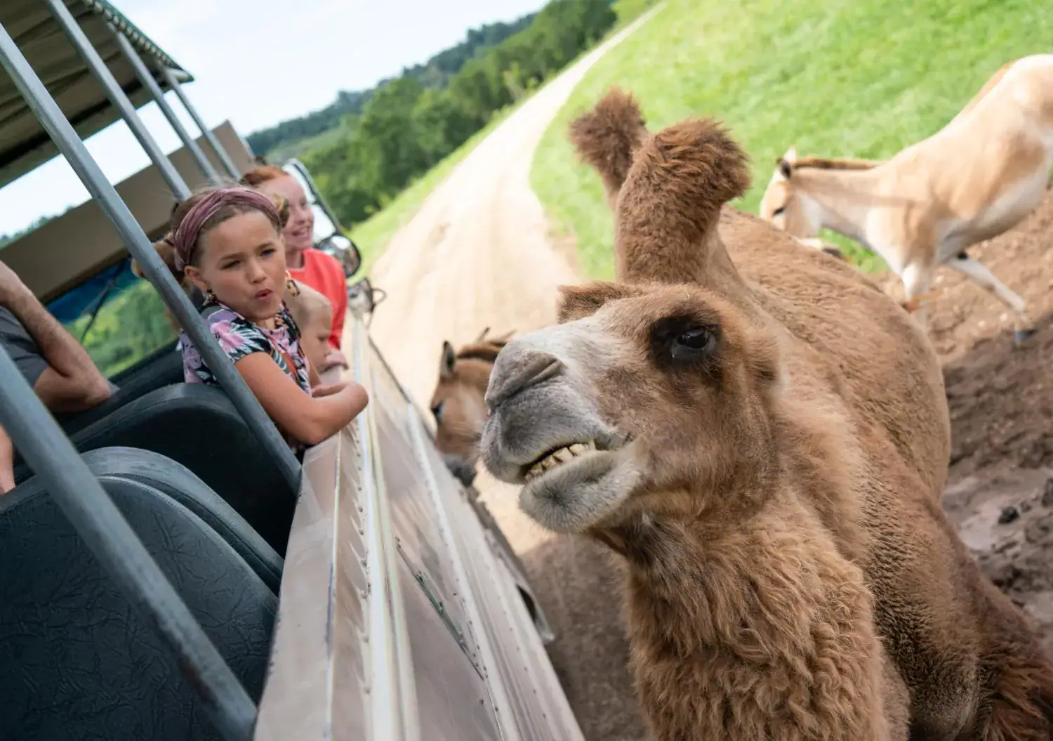 Student Safari Experiences