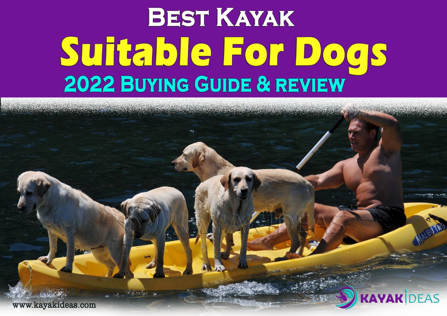 Types of Kayaks are Suitable and not suitable for Dogs 2022