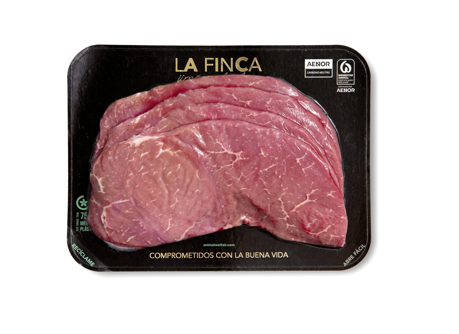 FILETES ESPECIAL PLANCHA