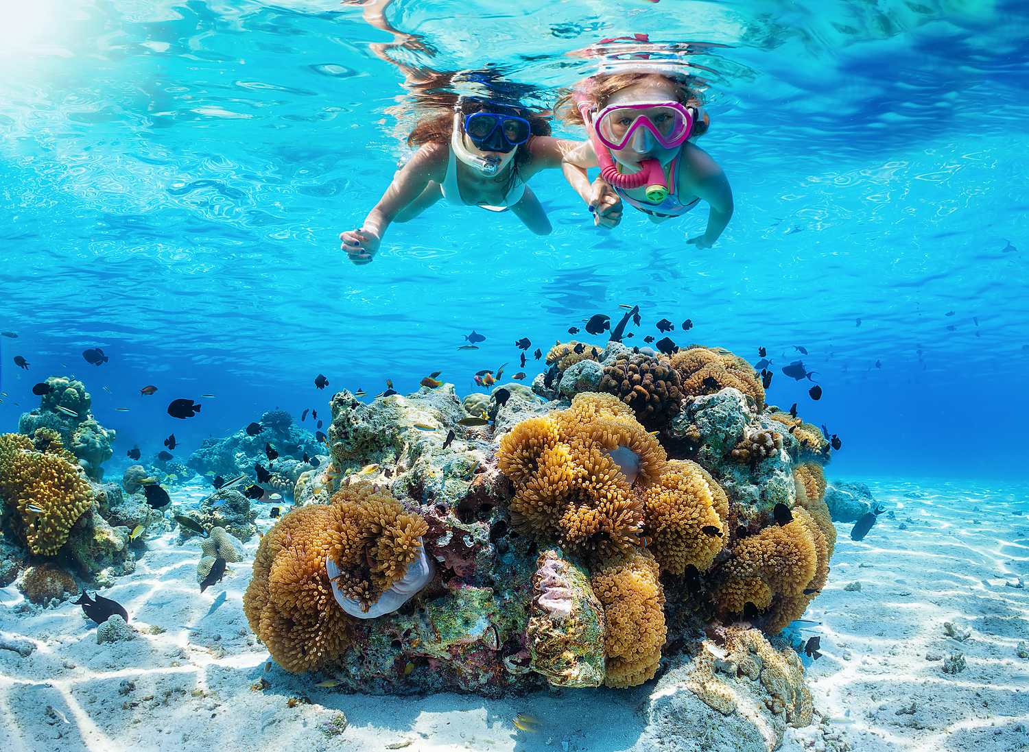 Sortie snorkeling encadrée — Dakar, Sénégal