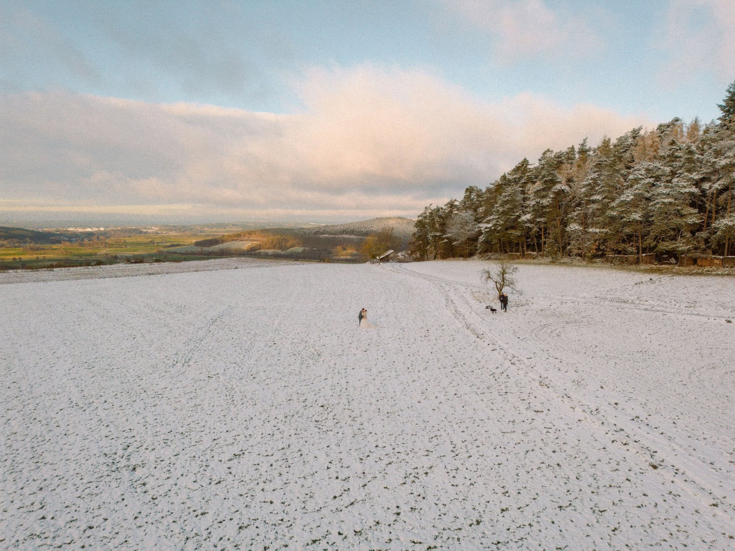 Ein weites schneebedecktes Feld mit einer Person und zwei Hunden, die am Waldrand spielen, erinnert an die ruhige Landschaft rund um Hammerschloss Stodl. Der Himmel ist teilweise bewölkt, das Sonnenlicht dringt durch und unterstreicht die ruhige Schönheit der fernen Landschaft.