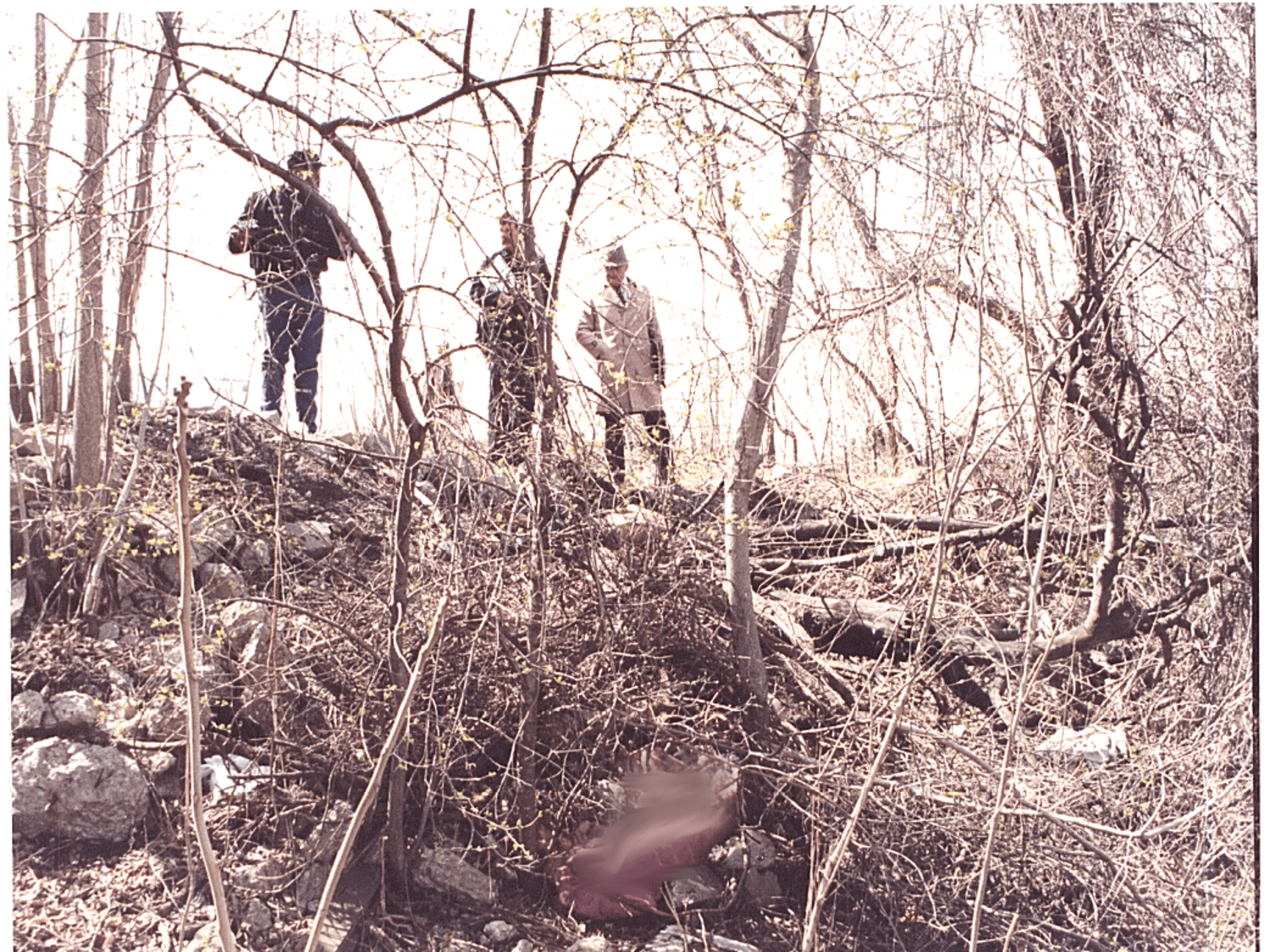 The tangle of tree limbs where Kelly Hood lay, with investigators standing on the hill. Image: DPD files.