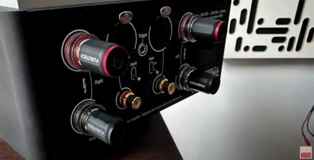 Audiophiliac – Mola-Mola Perca (5)