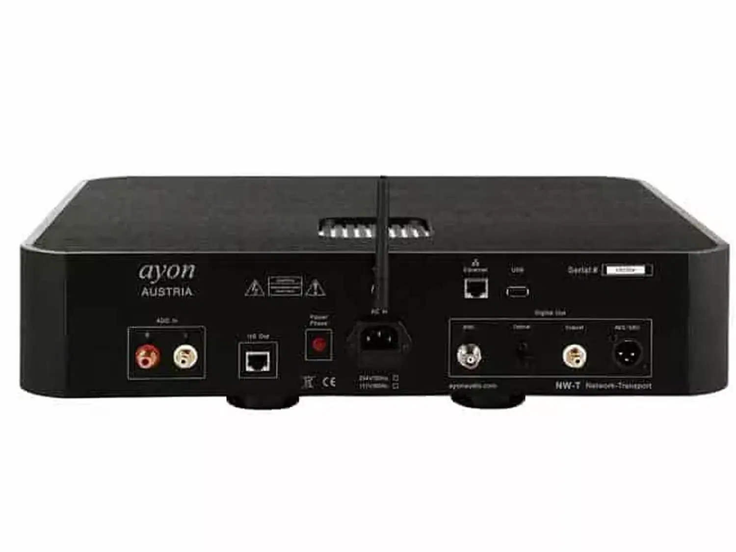 Ayon N-WT face arrière