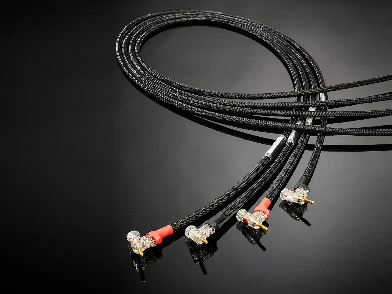 Jorma câble HP Duality les quatre connecteurs sont disposés en parallèle sur une surface brillante noire