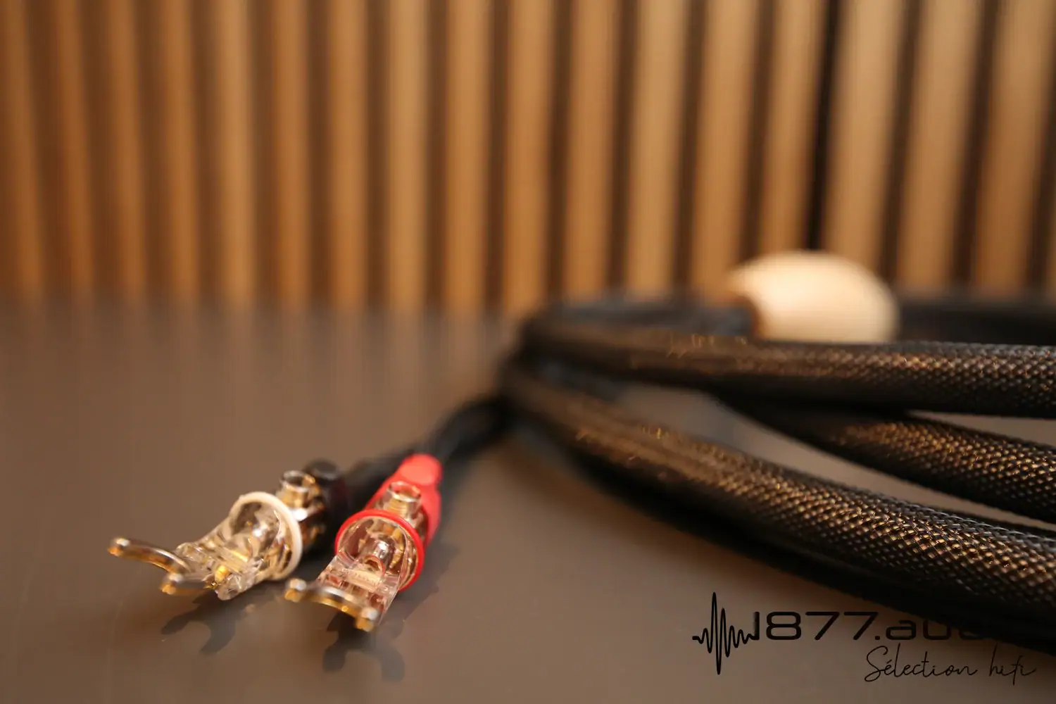 Jorma Unity câble haut-parleur : zoom sur les fouches en vue de face