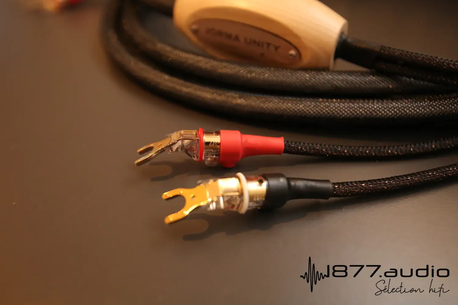 Jorma Unity câble haut-parleur : zoom sur les terminaison de type fourche en vue latérale