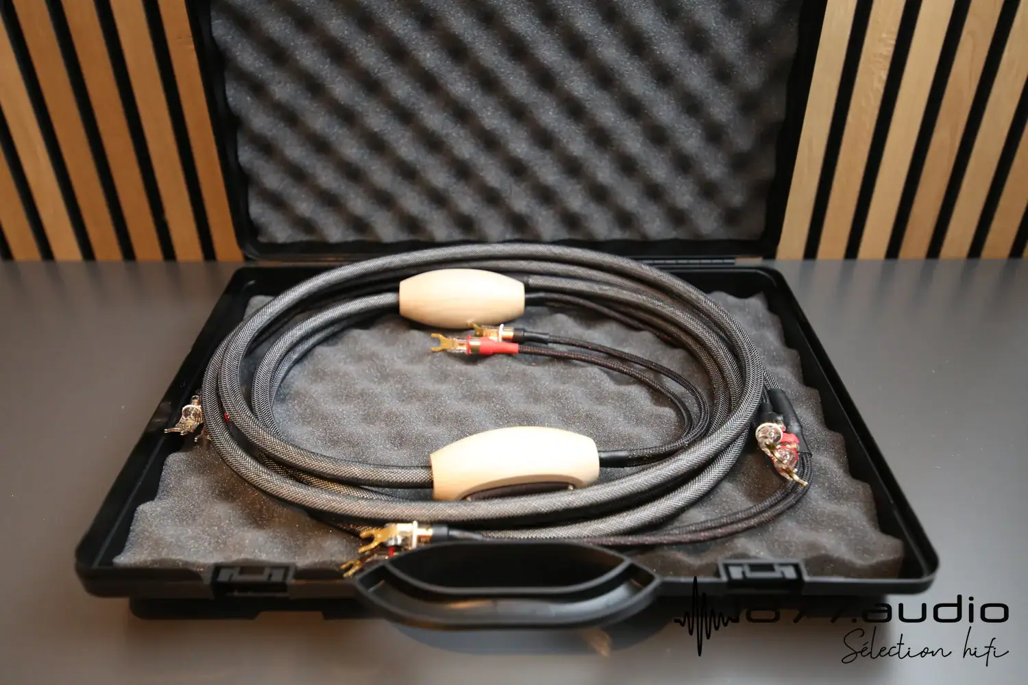 Jorma Unity câble haut-parleur : zoom sur le câble positionné dans sa mallette de transport