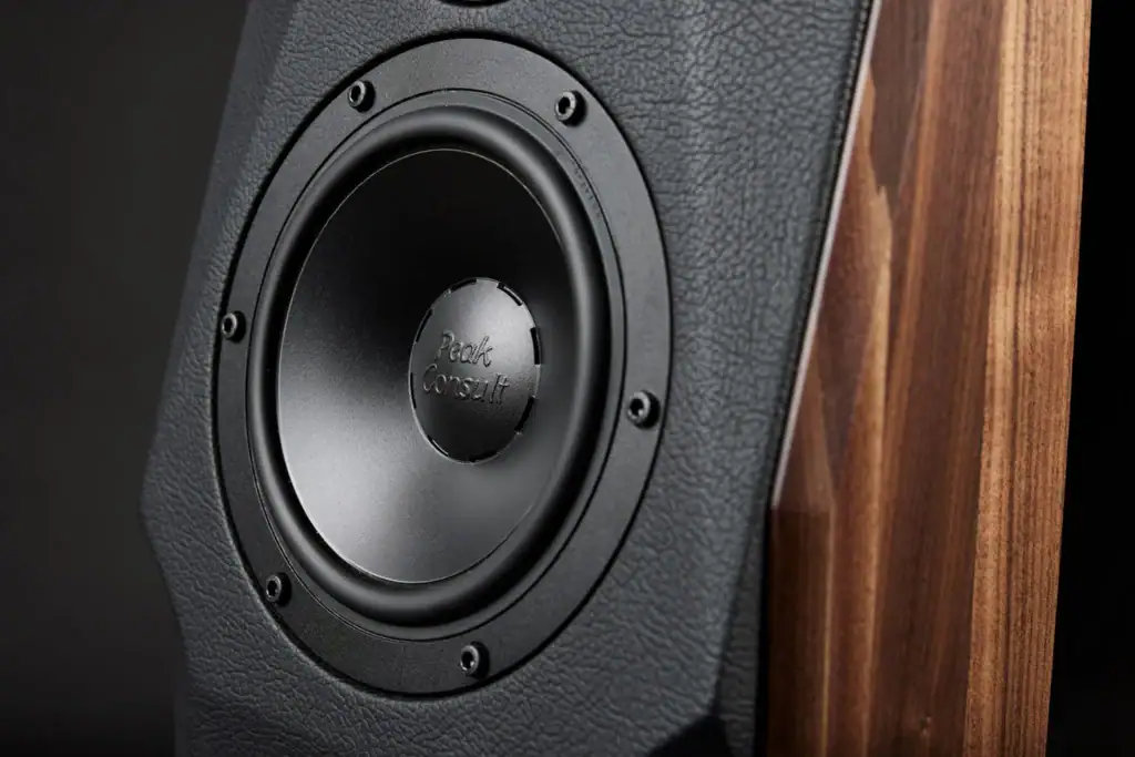 Low Beats sur l’enceinte Peak Consult Sonora 07