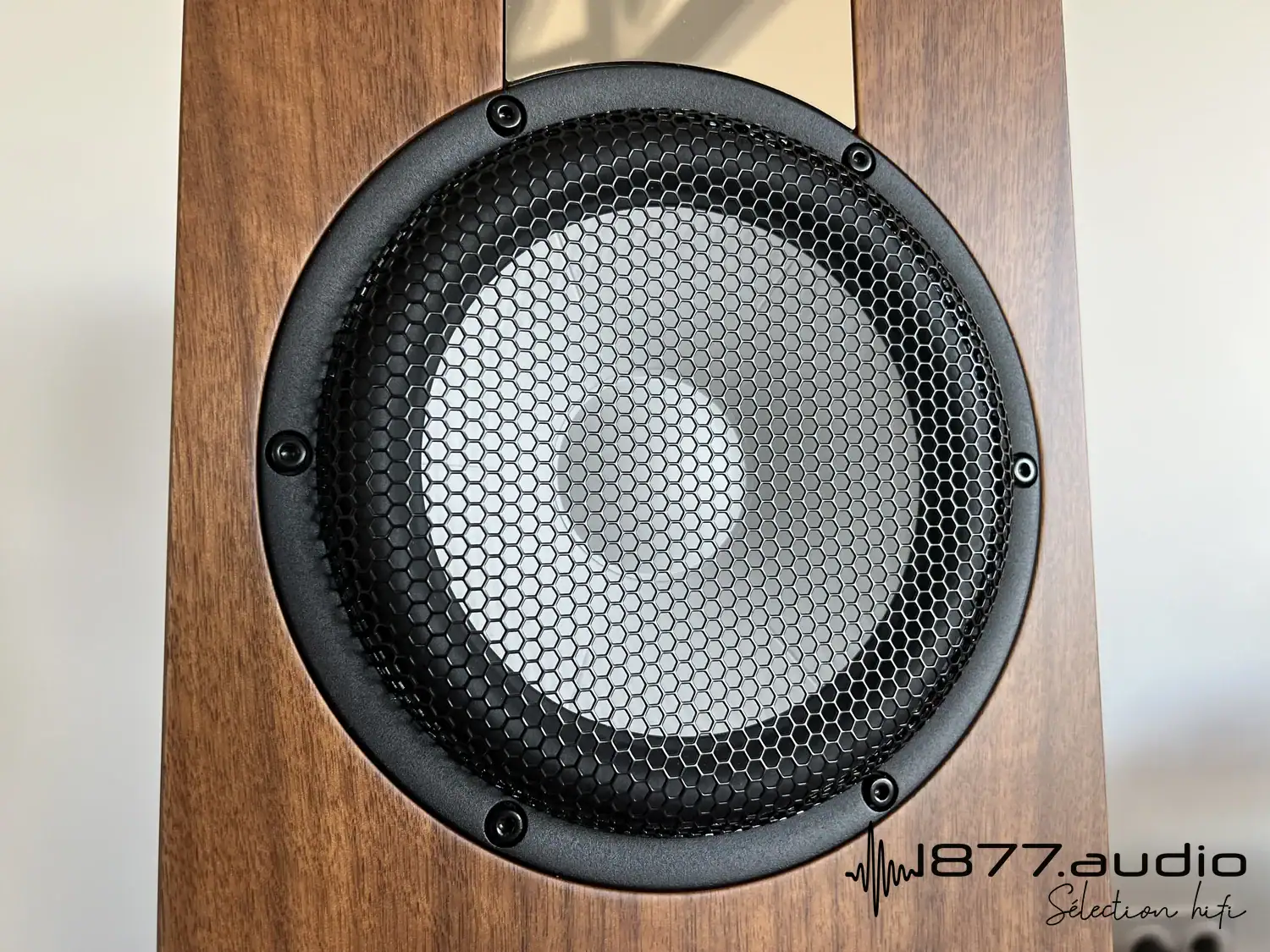 Marten Parker Trio zoom sur un haut-parleur de medium-grave