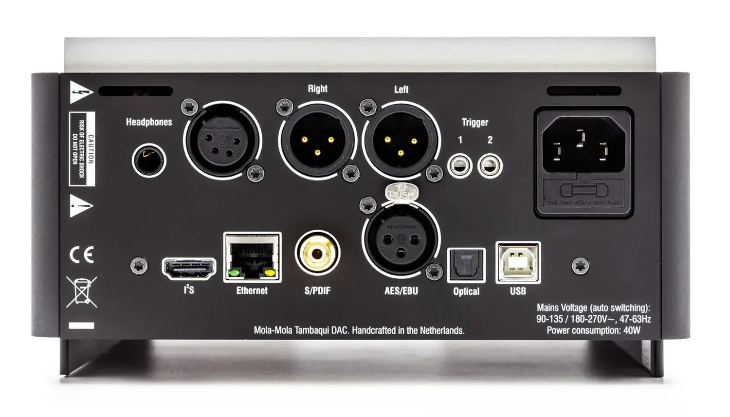 Mola-Mola Tambaqui façade arrière avec les connecteurs