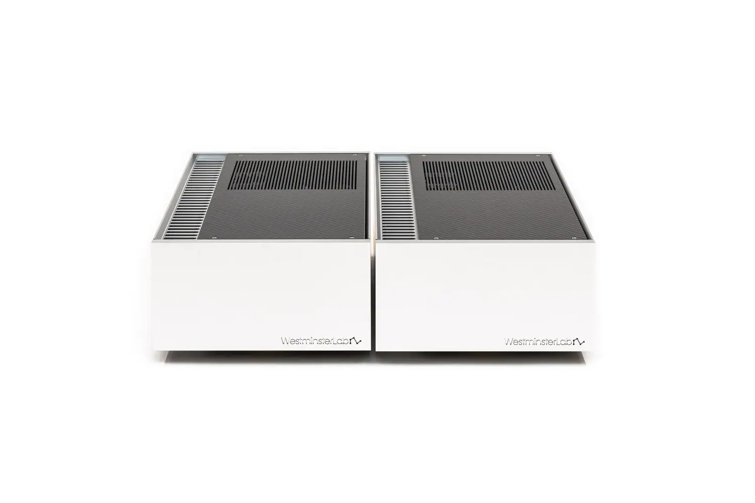 Vue avant de deux blocs mono WestminsterLab Rei