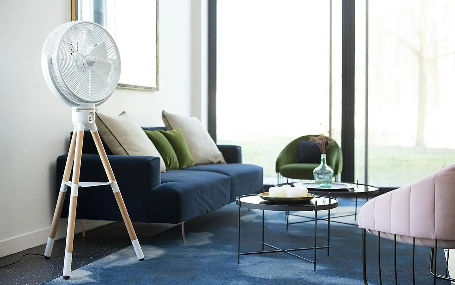 Williwaw en situation dans un salon avec un canapé